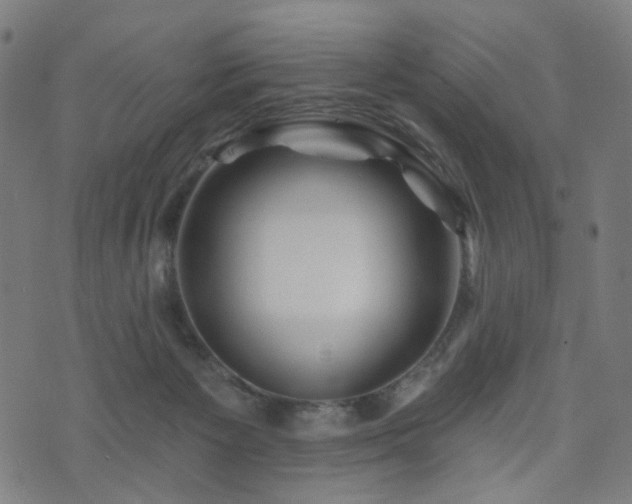 X0000071360125200606261326