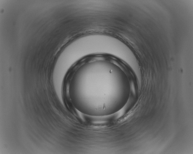 X0000071360168200606261326