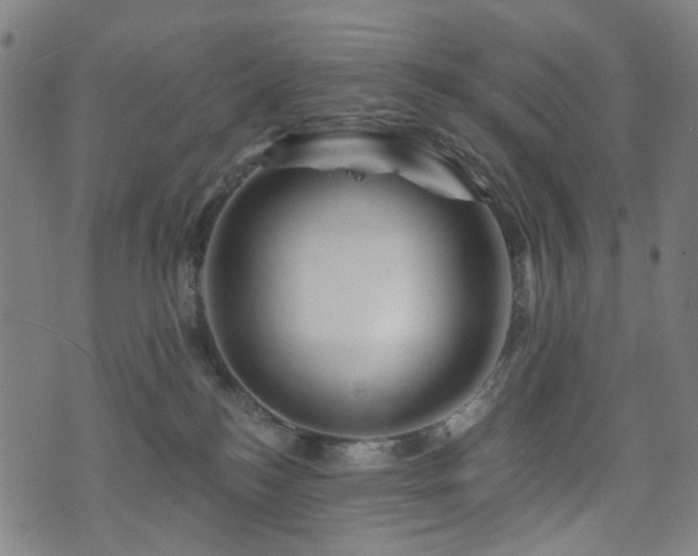 X0000071360184200606261326