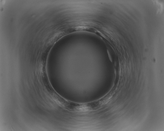 X0000071360219200606261325