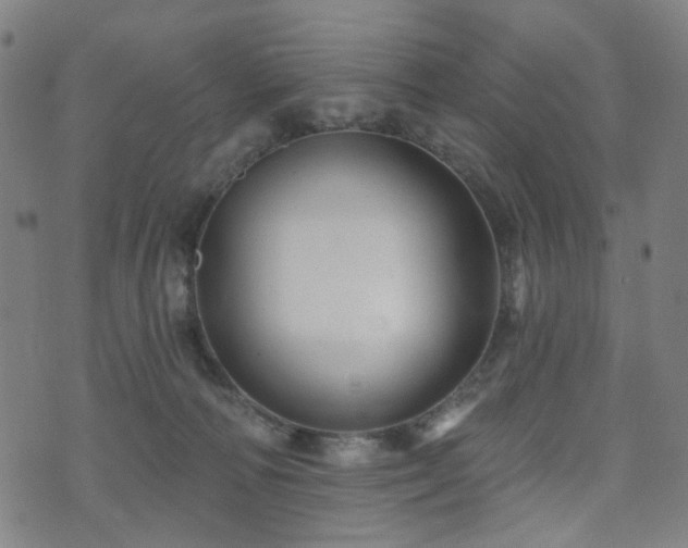 X0000071360226200606261325
