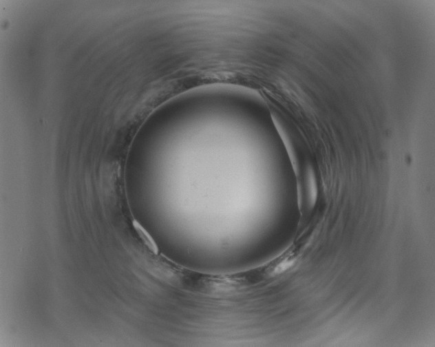 X0000071360229200606261325