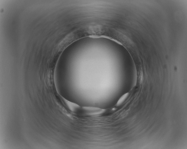 X0000071360233200606261325