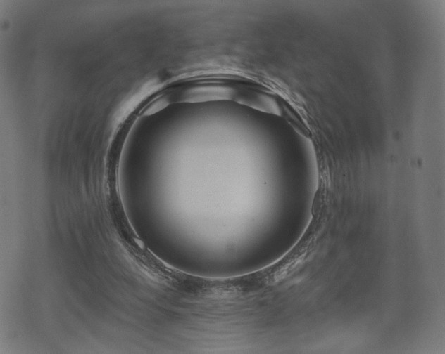 X0000071360248200606261324