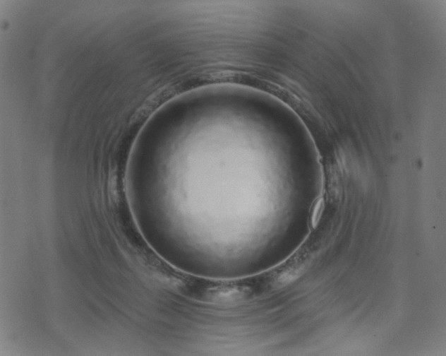 X0000071360267200606261324