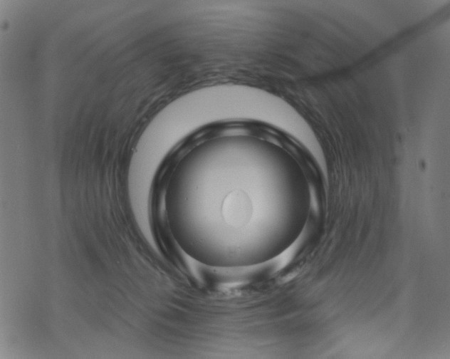 X0000071360276200606261324