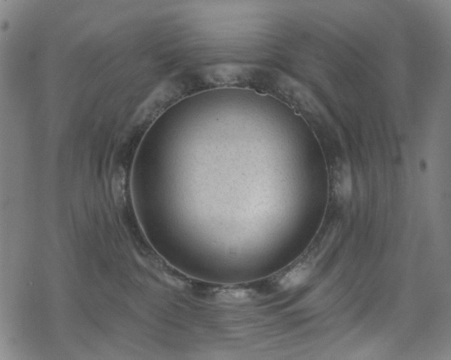 X0000071360332200606261323