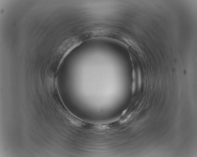 X0000071360333200606261323