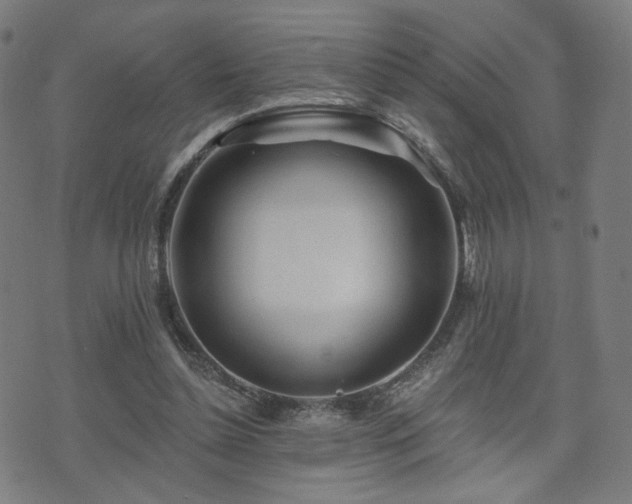 X0000071360348200606261322