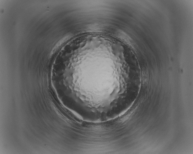 X0000071360349200606261322