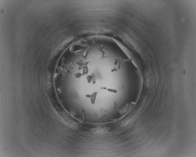 X0000071360356200606261322