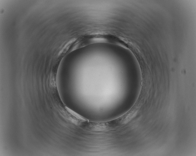 X0000071360384200606261323