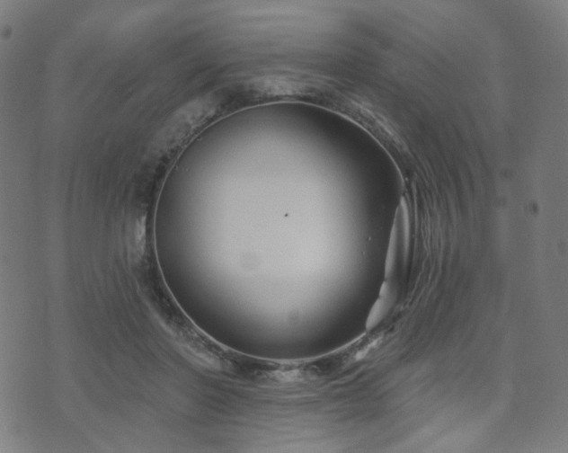 X0000071360406200606261322
