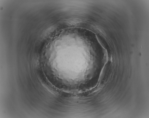 X0000071360408200606261322