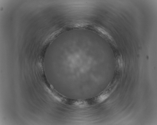 X0000071360415200606261322
