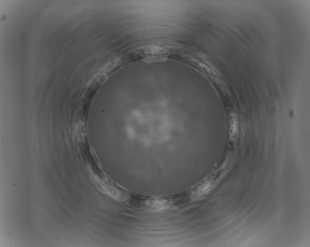 X0000071360419200606261322