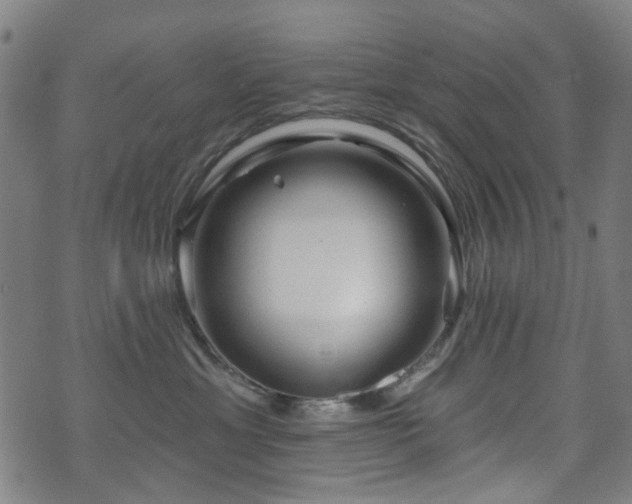 X0000071360429200606261321