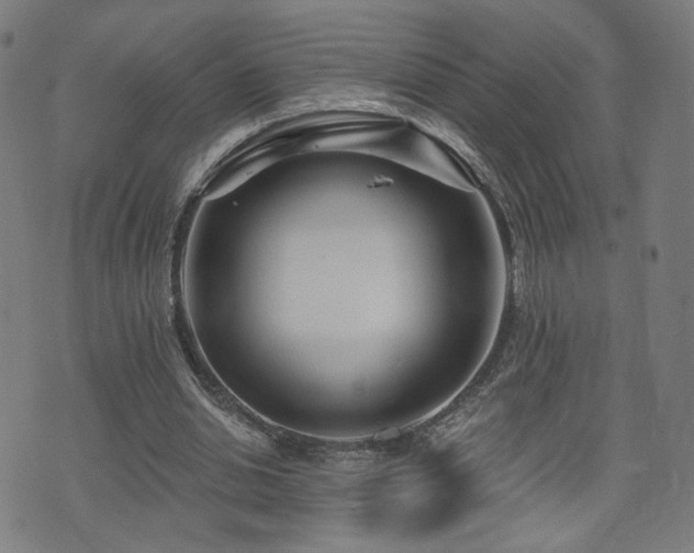 X0000071360438200606261321
