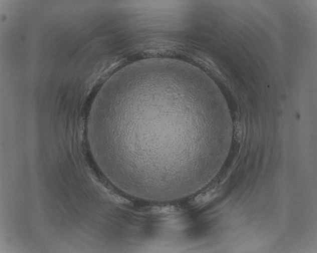 X0000071360458200606261321