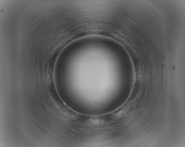 X0000071360464200606261321