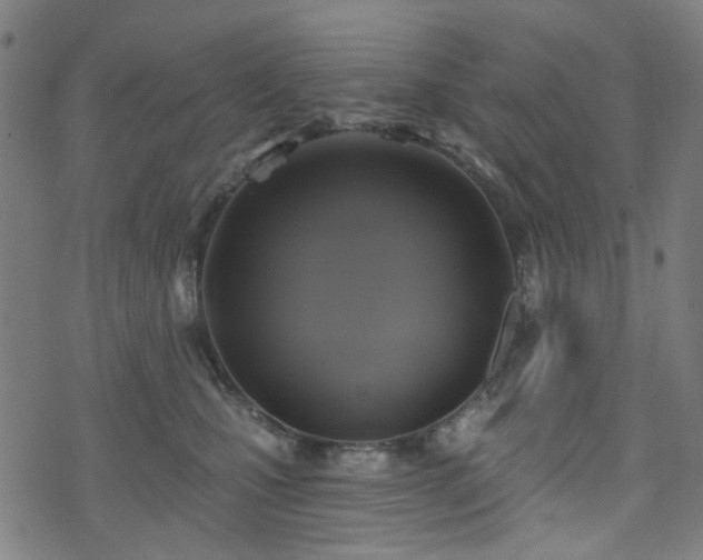 X0000071360471200606261321