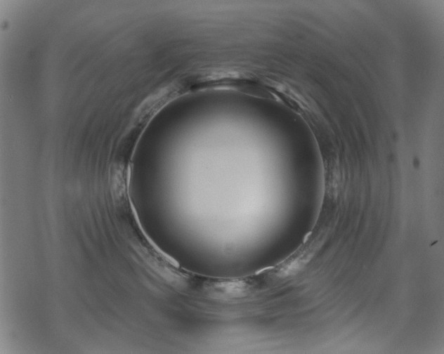 X0000071360478200606261321