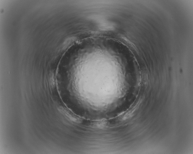 X0000071360479200606261321
