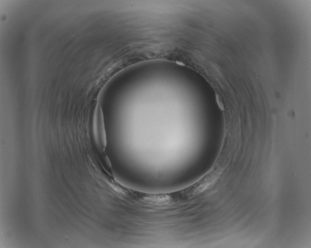X0000071360480200606261321