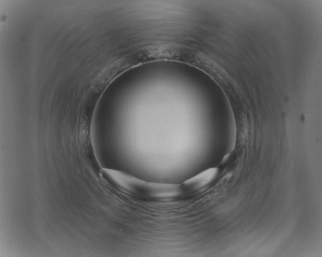 X0000071360513200606261320