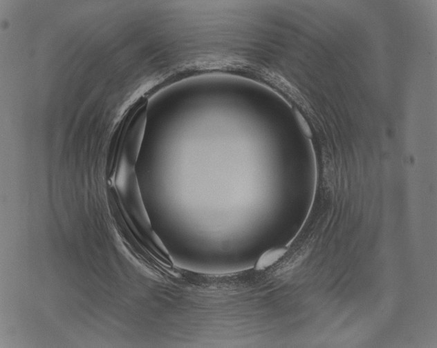 X0000071360530200606261319