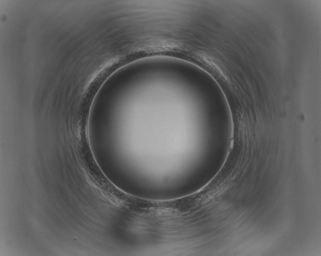 X0000071360539200606261319
