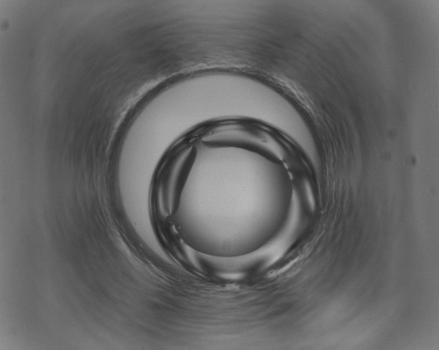 X0000071360540200606261319