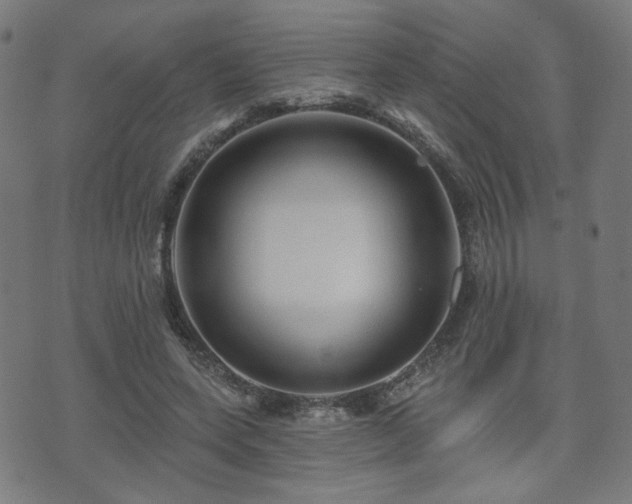 X0000071360543200606261319