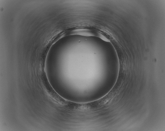 X0000071360546200606261319