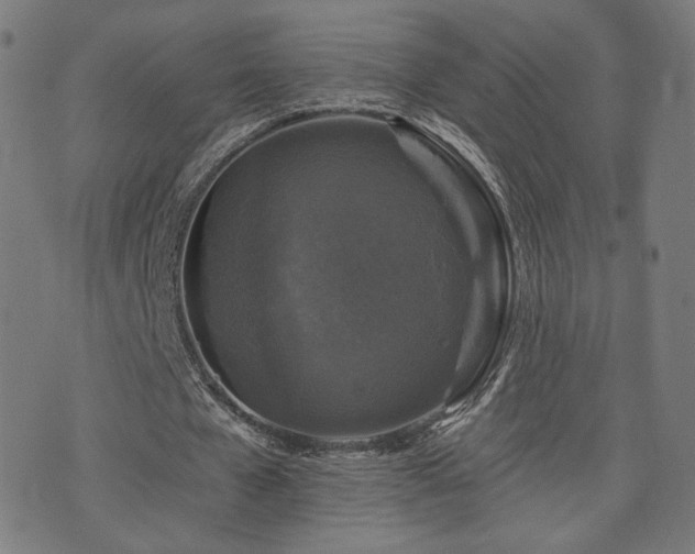 X0000071360577200606261319