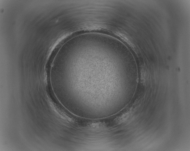 X0000071360584200606261319