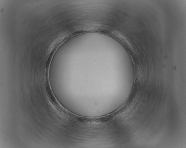 X0000071360586200606261319
