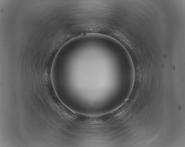 X0000071360597200606261319