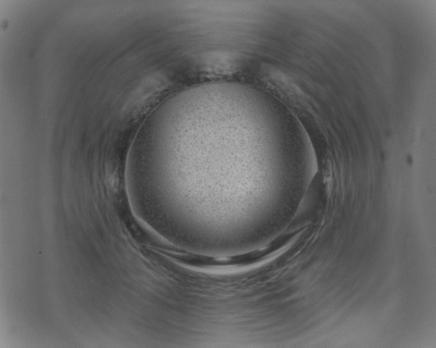 X0000071360608200606261318