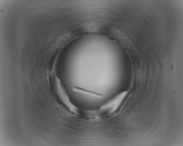 X0000071360609200606261318