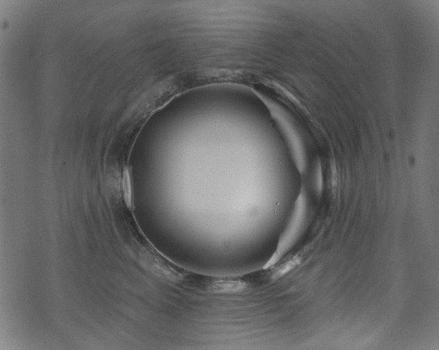 X0000071360617200606261318