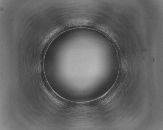 X0000071360629200606261317