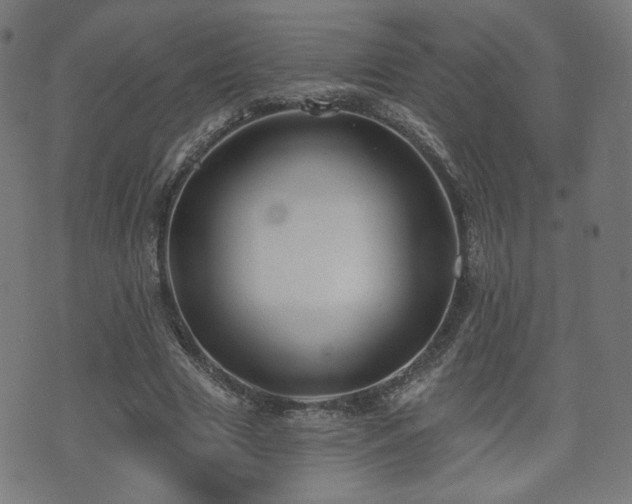 X0000071360633200606261317