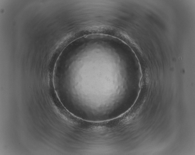 X0000071360637200606261318