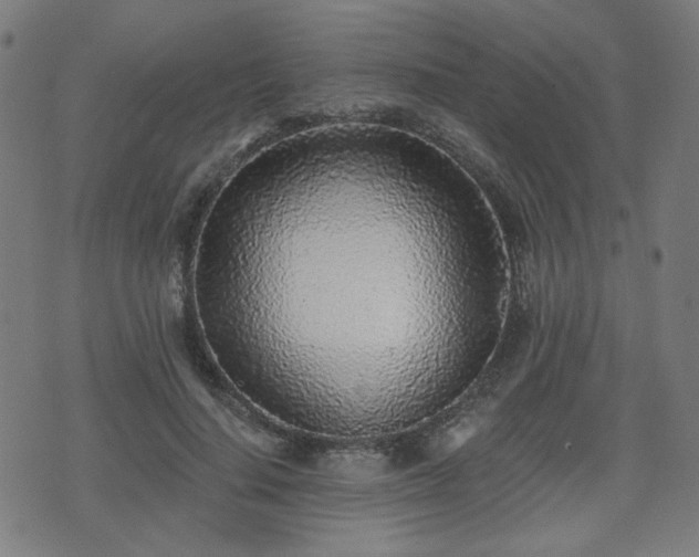 X0000071360644200606261318