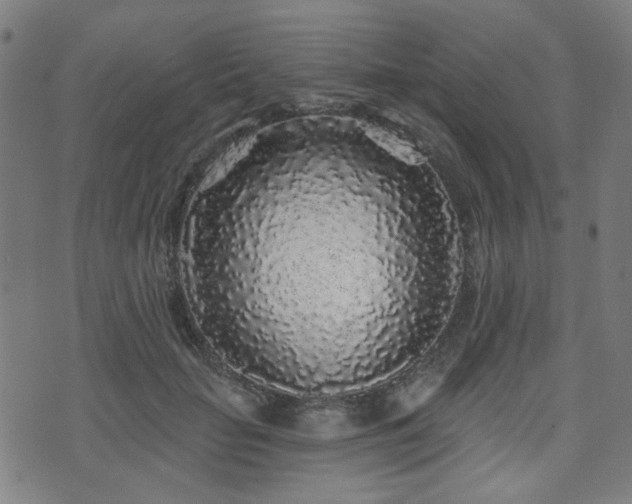 X0000071360653200606261318