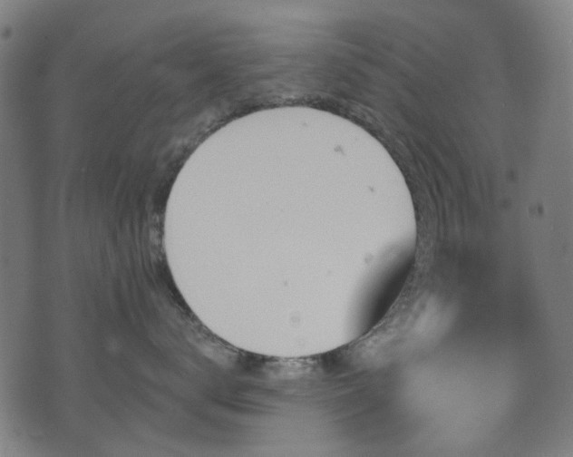 X0000071360672200606261318