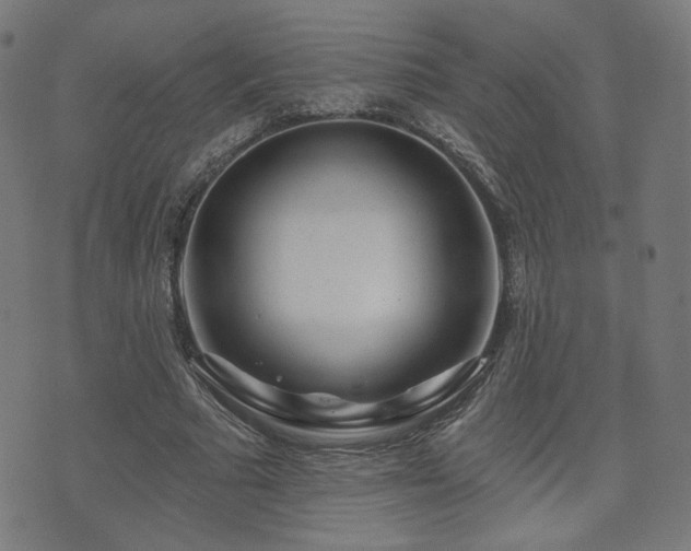 X0000071360681200606261317