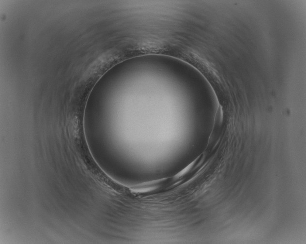 X0000071360689200606261317