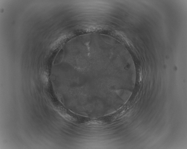 X0000071360691200606261317